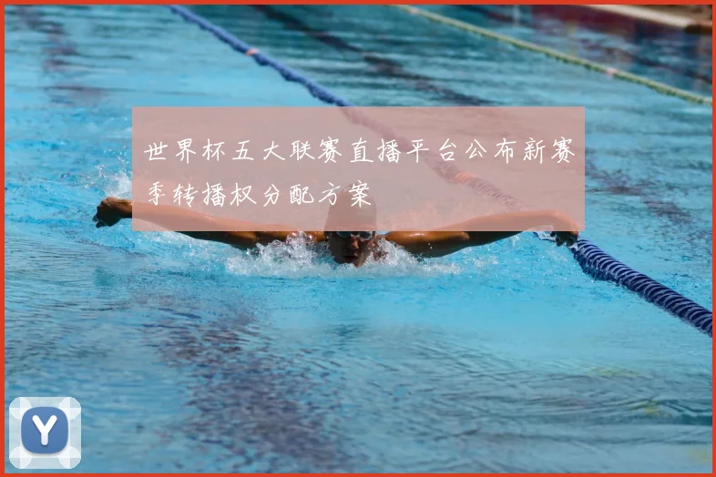 世界杯五大联赛直播平台公布新赛季转播权分配方案