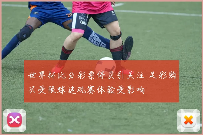 世界杯比分彩票停卖引关注 足彩购买受限球迷观赛体验受影响