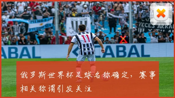 俄罗斯世界杯足球名称确定，赛事相关称谓引发关注