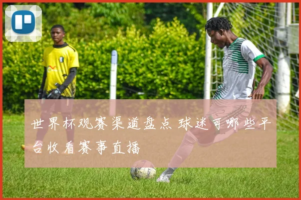 世界杯观赛渠道盘点 球迷可哪些平台收看赛事直播