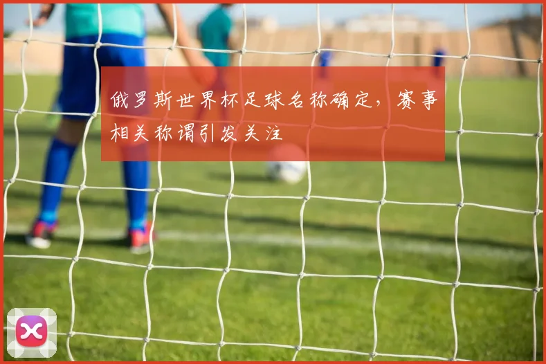 俄罗斯世界杯足球名称确定,赛事相关称谓引发关注