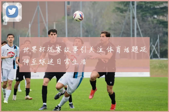世界杯观赛故事引关注 体育话题延伸至球迷日常生活