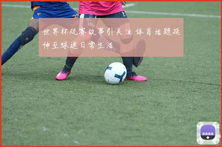 世界杯观赛故事引关注 体育话题延伸至球迷日常生活