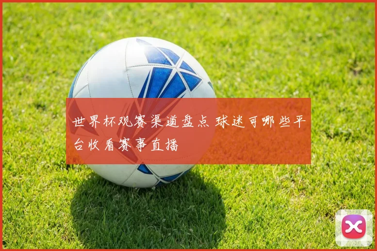 世界杯观赛渠道盘点 球迷可哪些平台收看赛事直播