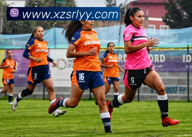 爱体育电子官网首页发展历程